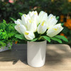 18 Heads Cream Silk Tulips Centerpiece  in White Ceramic  Vase