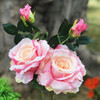 2 Large Stems Pink Silk Open Rose Flower  in Clear Glass Vase