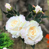 2 Large Stems Blush Silk Open Rose Flower  in Clear Glass Vase