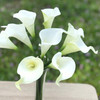 9 Heads Cream Real Touch Lily  Flower Arrangement in Clear Glass Vase