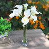 9 Heads Cream Real Touch Lily  Flower Arrangement in Clear Glass Vase