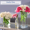 Rectangle Shape Clear Glass Vase  4.0" W x 12.0" H 