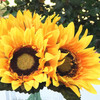 6 Heads Silk Sunflower Arrangement  in Clear Glass Vase with Faux Water