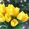  2 Bushes Yellow Silk Tulips  in Clear Glass Vase with Faux Water