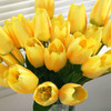 3 Pack Yellow Silk Tulips Arrangement  in Clear Glass Vase with Plastic Pearl For Home Wedding Centerpiece Decoration