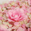 12 Pack 33 Sq ft. UV Protected 3D Silk Rose & Hydrangea Flower Wall Mat Panel(Pink)