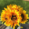 6 Heads Yellow Mixed Sunflower and Rose Silk Flower Arrangement in Clear Glass Vase With Faux Water