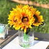 6 Heads Yellow Mixed Sunflower and Rose Silk Flower Arrangement in Clear Glass Vase With Faux Water