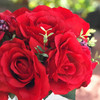 Red Mixed Rose and Hydrangea Silk Flower Arrangement  in  Glass Vase with Faux Water 