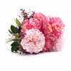 Pink Mixed Dahlia Silk Flower Arrangement in Glass Vase with Faux Water