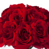 21 Heads Red Rose Silk Flower Arrangement in Round Clear Glass Vase With Faux Water