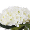 Cream Silk Hydrangea Flower Arrangement in Clear Glass Vase With Faux Water