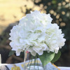 Cream Silk Hydrangea Flower Arrangement in Glass Vase With Faux Water