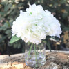 Cream Silk Hydrangea Flower Arrangement in Glass Vase With Faux Water