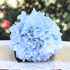 Azure Silk Hydrangea Flower Arrangement in Glass Vase With Faux Water