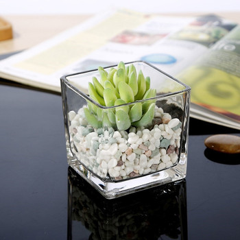 Square Shape Clear Cube Glass Vase  7.0" W x 7.0" H 