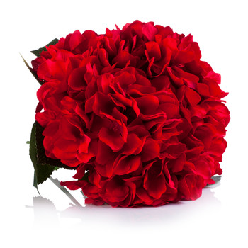 Red Silk Hydrangea Flower Arrangement in Clear White Vase with Faux Water