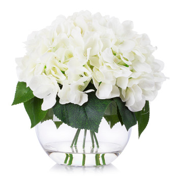 Cream Hydrangea Flower Arrangement in Clear Glass Vase With Faux Water