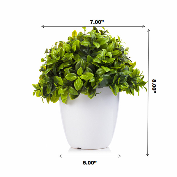  Artificial  Eucalyptus Plant in White Pot