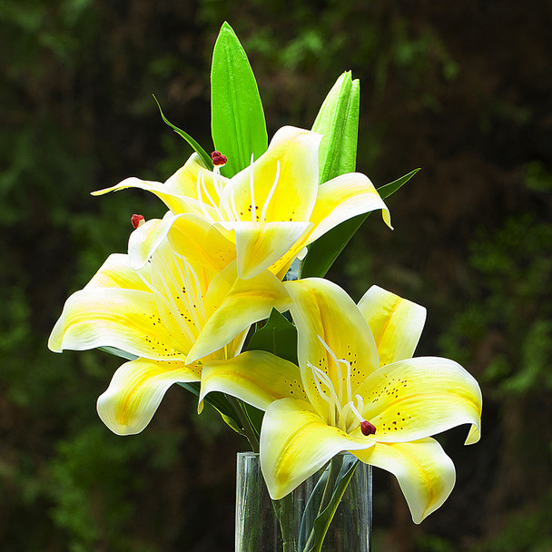 3 Large Heads Artificial Real Touch Lilies Flower Arrangement in  Glass Vase With Faux Water and River Rock(Yellow)