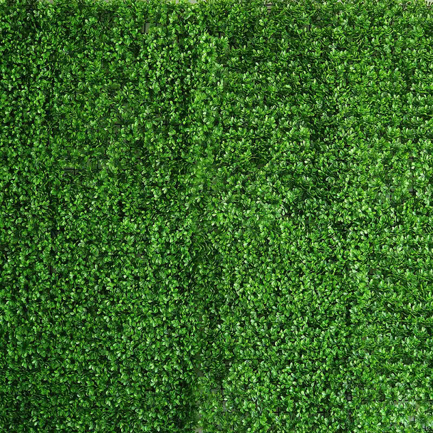 12 Panels 31 Sq ft. Artificial Lime Green Boxwood Hedge Genlisea Faux Foliage Wall Backdrop Decoration for Party Wedding Indoor & Outdoor Garden 12 Panels 31 Sq ft. Artificial Lime Green Boxwood Hedge Genlisea Faux Foliage Wall Backdrop Decoration for Party Wedding Indoor & Outdoor Garden