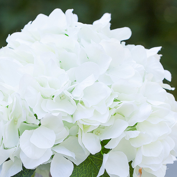 Artificial Silk Hydrangea Flower Arrangement in Cube Glass Vase With Faux Water(Cream)