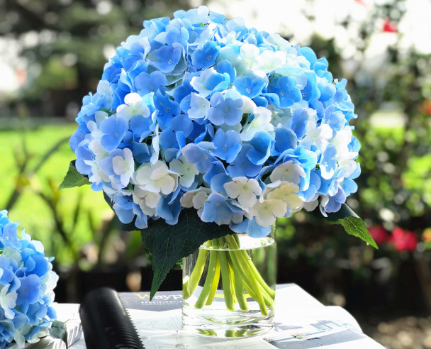 Blue Cream Artificial Hydrangea Flower Arrangements with Clear Glass Vase 