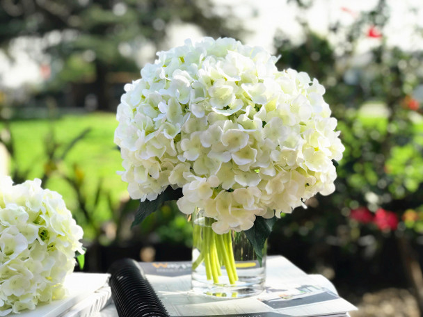 Cream Artificial Hydrangea Flower Arrangements with Clear Glass Vase 