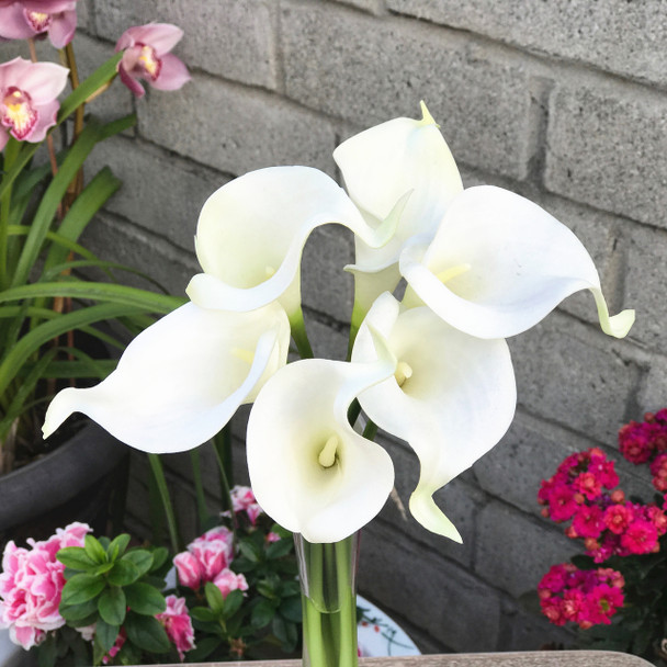 Cream Velet Lily Faux Flower Arrangements With  Clear Glass Vase 