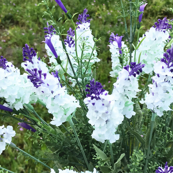 White and Purple Lavender  Arrangement  with White Ceramic Vase