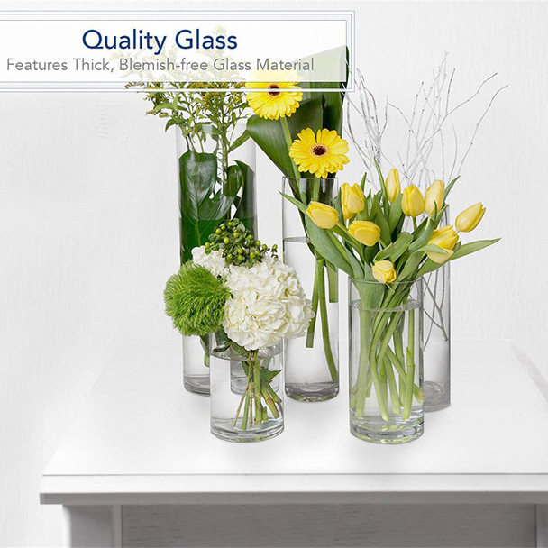 Cylinder Shape Clear Flower Glass Vase 5.0" W x 8.0" H Cylinder Shape Clear Flower Glass Vase 5.0" W x 8.0" H
