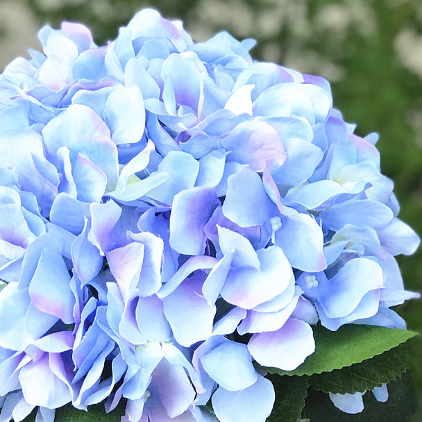 Blue Silk Hydrangea Flower Arrangement in Clear Vase with Faux Water