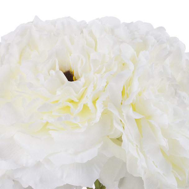  5 Heads Cream Large Peony Flower Arrangement in Clear Glass Vase With Faux Water