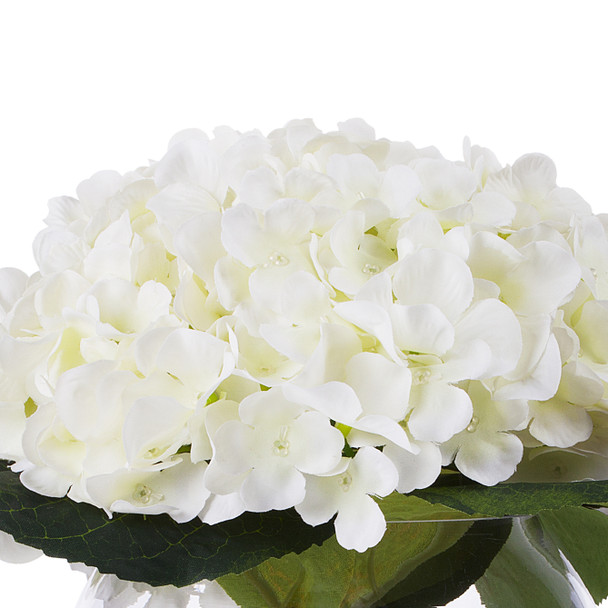 Cream Silk Hydrangea Flower Arrangement in Clear Glass Vase With Faux Water Cream Silk Hydrangea Flower Arrangement in Clear Glass Vase With Faux Water