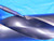 2.8010" HSS TWIST DRILL BIT 1 1/2 SHANK 8 3/4 LOC 15.5 OAL - MB11895CF2