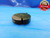 1/4 28 NS SPECIAL THREAD RING GAGE .25 .250 .2500 NO GO ONLY P.D. = .2222 - DW21614RD