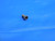 1pc ISCAR SR 34-505 TORX REPLACEMENT SCREW M2.5 X .45 E90 INDEXABLE TOOLING - JH2793HWD