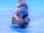 NEW YORK 15/16 O.D. HSS TWIST DRILL BIT MORSE TAPER #3 SHANK .9375 MT3 USA MADE - AB0659CP2