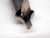 NEW DAGGER HSS CENTER DRILL BIT 6.3mm O.D. 60 DEGREE COUNTERSINK 3.175 OAL  - BR4880MJT