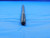 0.2472 O.D. HSS CHUCKING REAMER 6 FLUTE .2472 1/4 .2500 -.0028 UNDERSIZE CNC - DW29767AL4