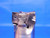 SUMITOMO 1" DIA. SQUARE SHOULDER COOLANT INDEXABLE END MILL WEX21000EW 4 FL 1.0 - BR7660CE4