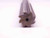 NEW 3/4 O.D. HSS CHUCKING REAMER 8 FLUTE .75 .7500 ONSIZE 19 mm - CL0710AF5