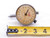 LUFKIN J23C DIAL TEST INDICATOR .050" RANGE .0005" GRADUATION FULL JEWELED - NS2392CQ5