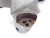 KOMET 3" O.D. 12 1/4 OAL COOLANT THRU INDEXABLE INSERT DRILL 2" SHANK 2 FL 3.0 - JG3508AT6