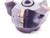 SANDVIK 3" O.D. COOLANT FACE MILL RA210-076R25-14M 1" PILOT HOLDS 5 INSERTS 3.0 - NS5417AH6