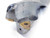 2 1/2 O.D. COOLANT THRU INDEXABLE INSERT DRILL 2" SHANK 2 FL 2.5 HOLDS WC43 - JG3603AP5