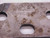 6pcs LOT OF MANCHESTER 312-107 BOTTOM CLAMP SUPPORT BLADES FOR GROOVING TOOLS - JJ1712AY6