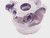 CARBOLOY 2" O.D. FACE MILL R220.13-02.00-12 3/4 PILOT HOLDS 4 INSERTS 2.0 SHELL - NS6439BB6