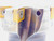 KENNAMETAL 2 1/2 O.D. FACE MILL KSSZR250XP253L903 3/4 PILOT 5 POCKETS XPMT1504 - JG4654CH5