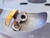 SUMITOMO 12" O.D. FACE MILL UFO512R 2 1/2 PILOT HOLDS 14 INSERTS SFKN1504 12.0